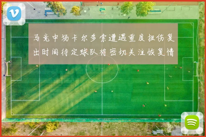 马竞中场卡尔多索遭遇重度扭伤复出时间待定球队将密切关注恢复情况